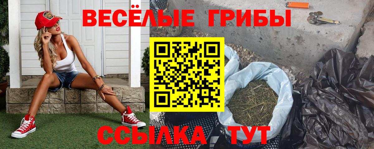 Псилоцибиновые грибы GOLDEN TEACHER  Вход с VPN  Клинцы 
