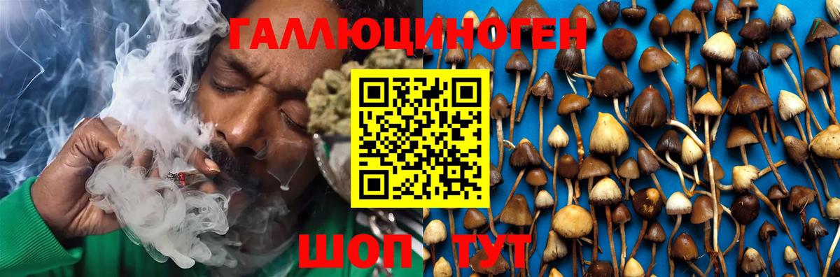 Псилоцибиновые грибы мицелий Клинцы